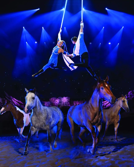 breathtaking aerial act at Dolly Parton's Stampede