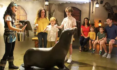 sea lion meeting guests at the animal encounter