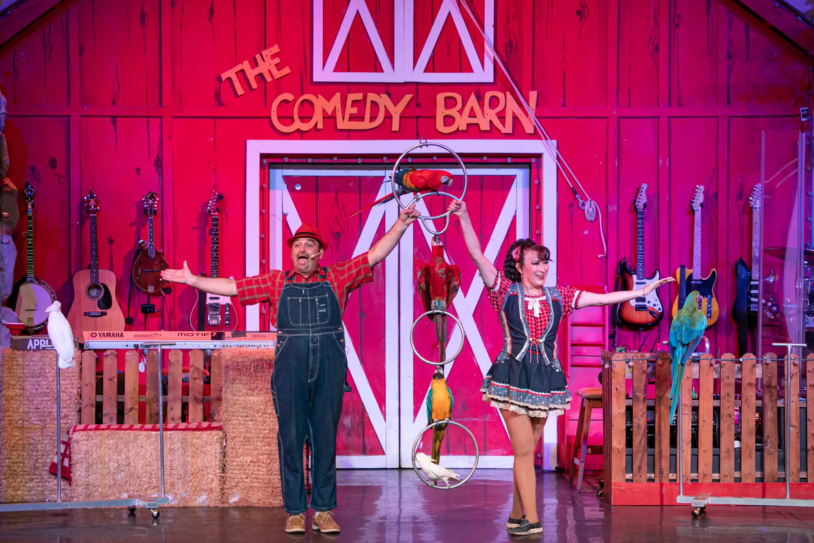 bird performers at The Comedy Barn